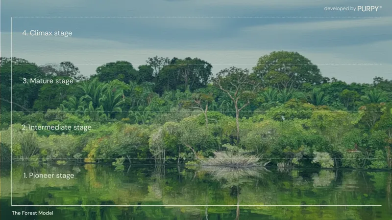 The Forest Model: four stages of forest succession over a tropical landscape
